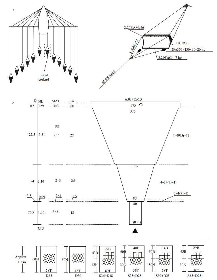 Size selectivity of combined square and diamond mesh codends of shrimp beam  trawl for banded scad <i>Caranx</i> (<i>Atule</i>) <i>kalla</i> in the  northern South China Sea